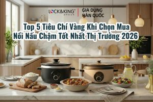 Top 5 Tiêu Chí Vàng Khi Chọn Mua Nồi Nấu Chậm Tốt Nhất Thị Trường 2026